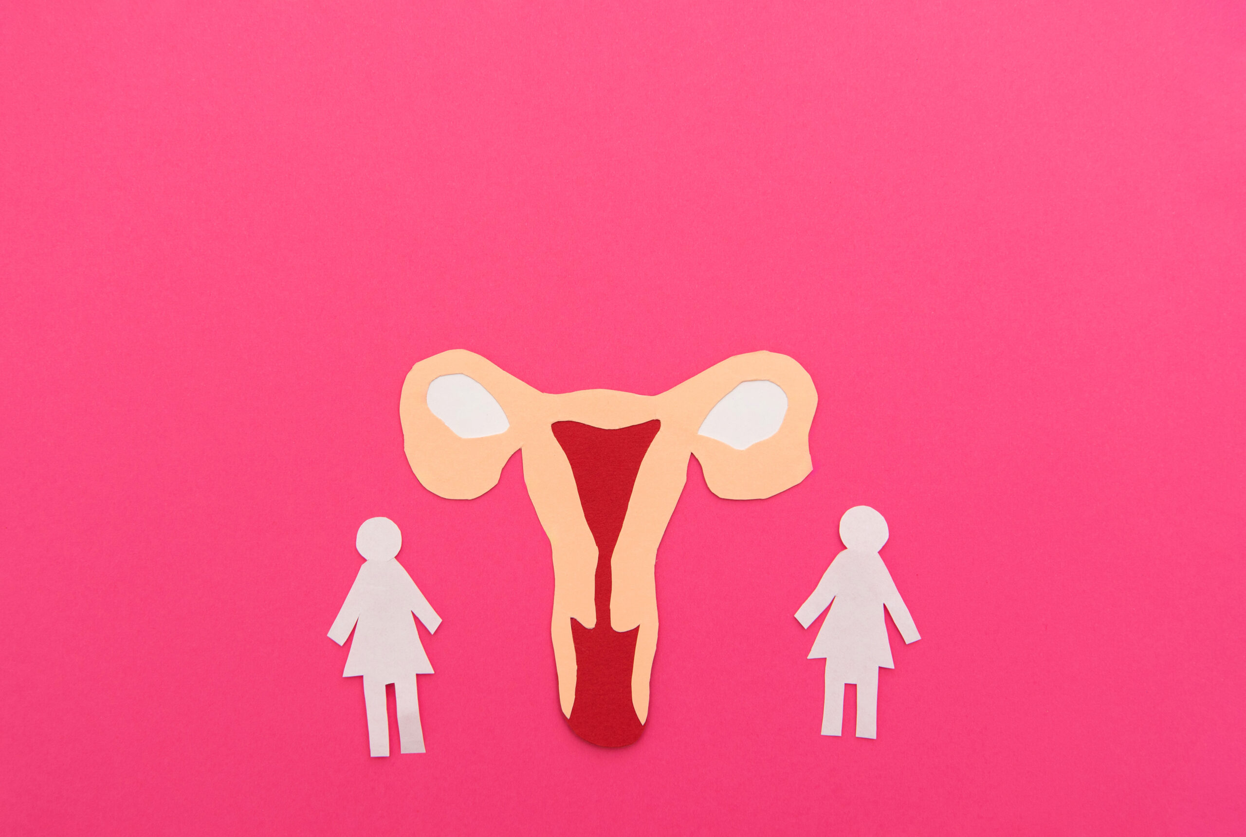vaginal yeast infection