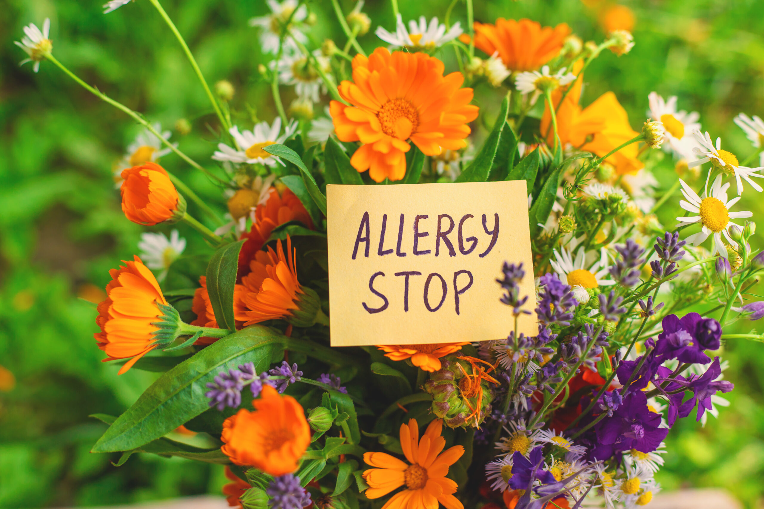 allergic rhinitis